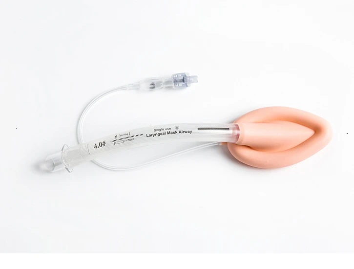 product-725-550
